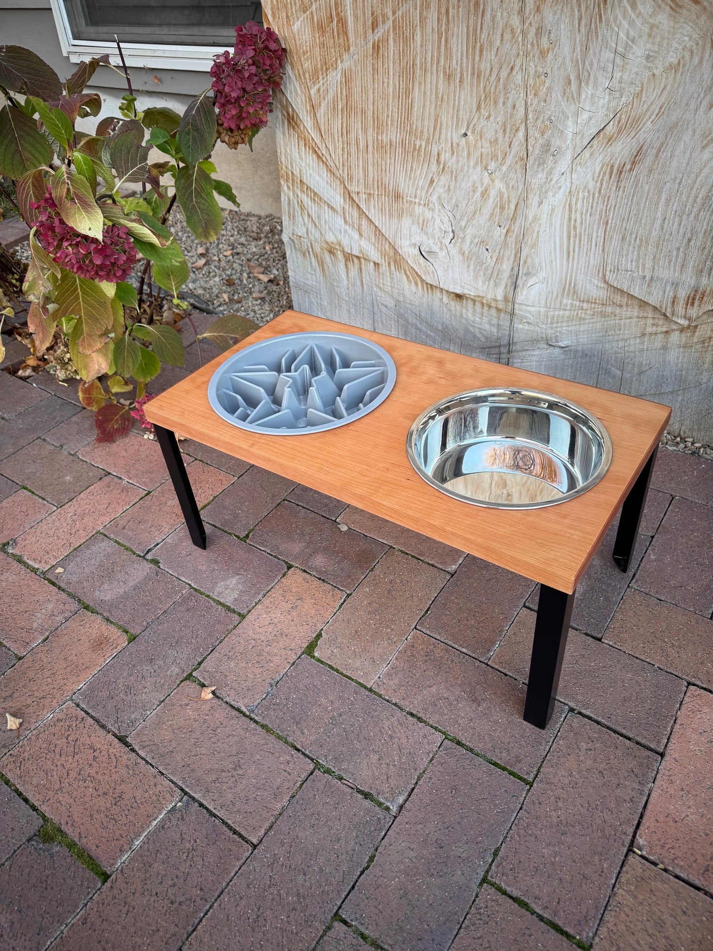 Large, Cherry, 2-Bowl, Slow-Feed, 10", Black straight legs